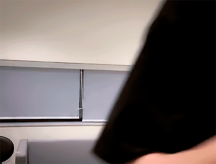 [잡담] 이재현… 곰인데 강아지… | 인스티즈