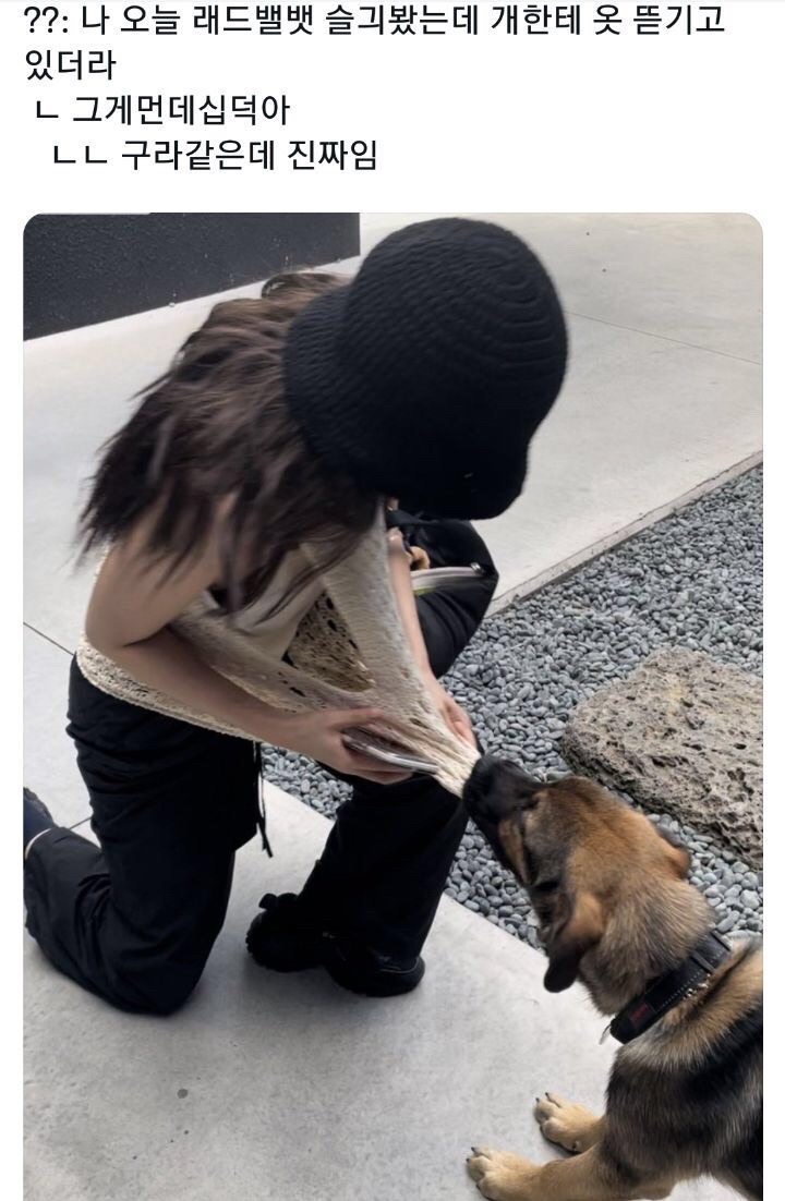 [잡담] 아 슬기 친구분들이 이 짤 보셔서 슬기한테 연락온댘ㅋㅋㅋㅋㅋㅋㅋ | 인스티즈