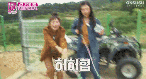 [잡담] 아 슬기 동물들이 뭘로 보는지 모르겠는데 붙어있으면 개웃김 | 인스티즈