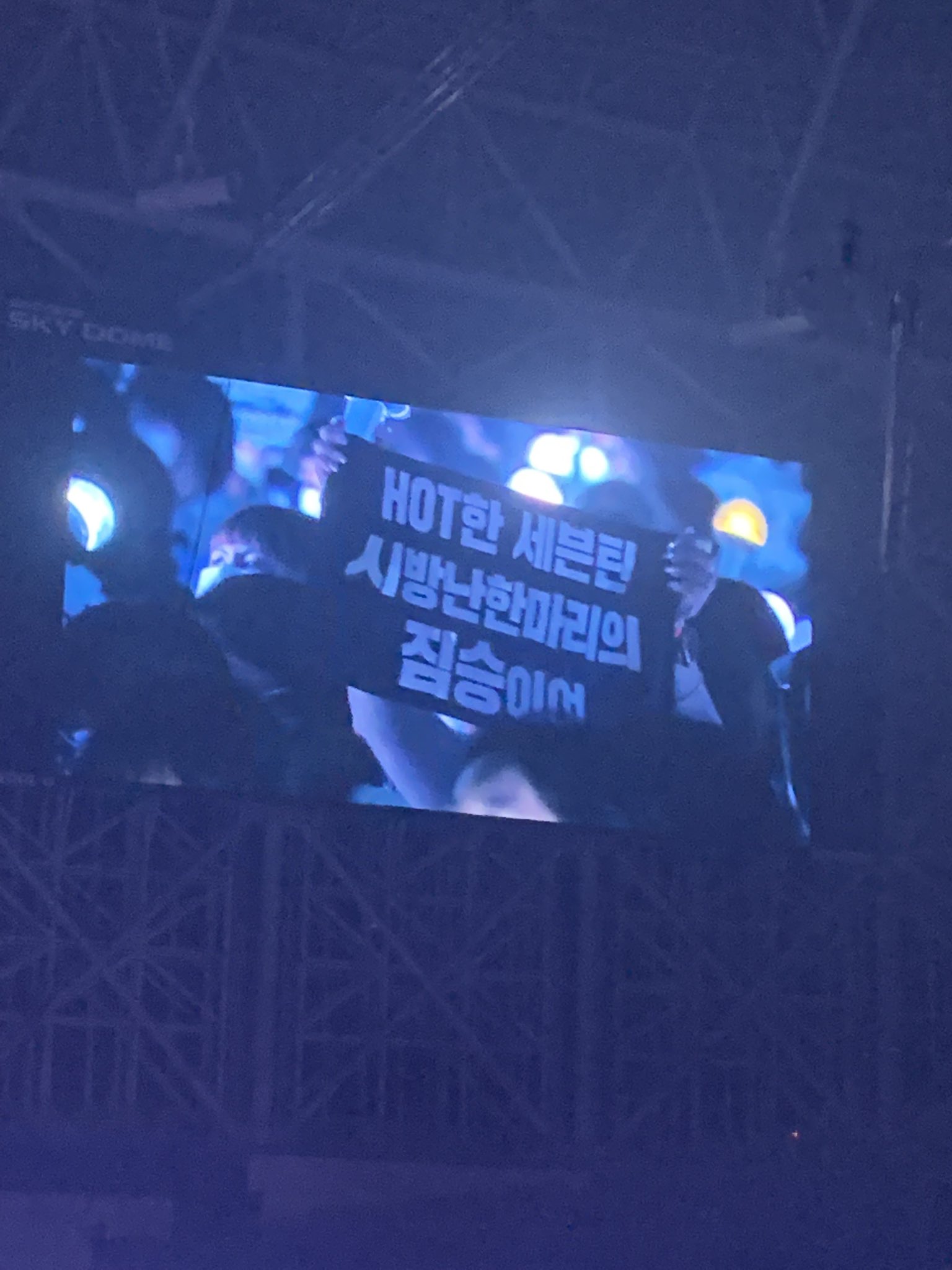 [잡담] 오늘자(비더썬 첫콘) 기상천외 세븐틴 슬로건 자랑타임 | 인스티즈