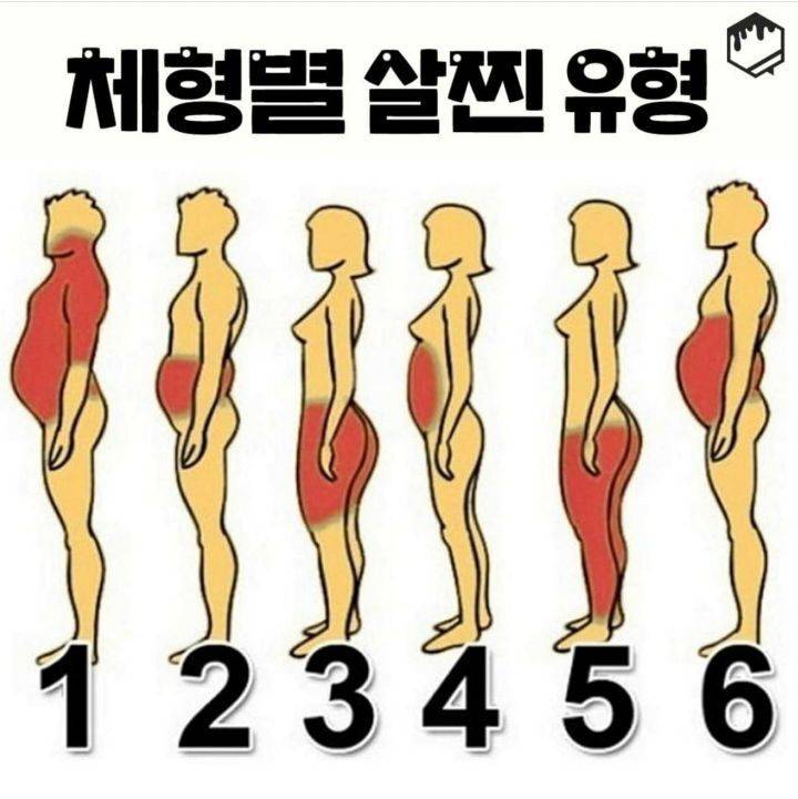 체형별 살찐 이유 이거 진짜아니지? | 인스티즈