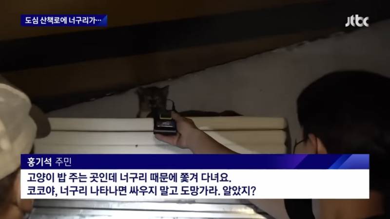 근래 레전드 뉴스 탑2 !! 너무 귀엽고 마음이 따뜻해졌어… | 인스티즈