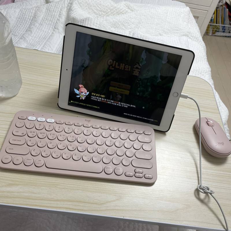 아이패드 키보드 마우스 삿ㅅ따.. 핑크.. ㅠㅠㅠ | 인스티즈