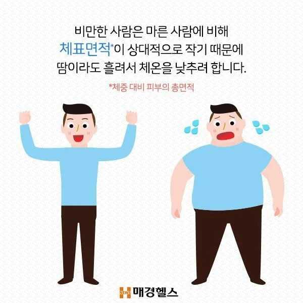 살 찌면 더위 많이 타는 이유...jpg | 인스티즈