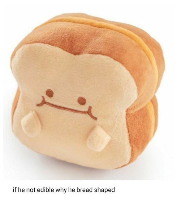[잡담] 와 진짜 식빵같이 생겼어🍞 | 인스티즈