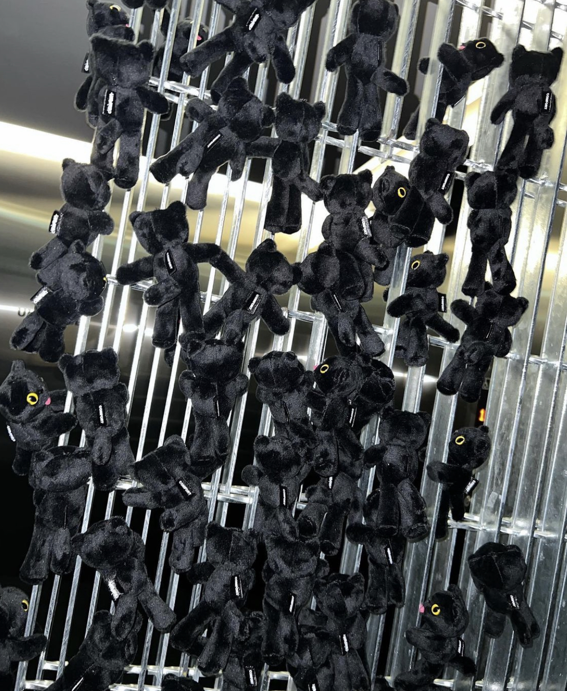 [잡담] 제니 인스타 이고양이 | 인스티즈