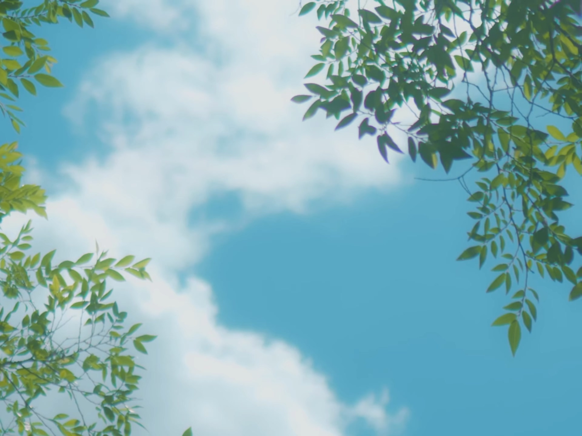 [잡담] 다시 봐도 비피엠 영상팀 너무 색감 예쁘게 영상 만들어주신다.. | 인스티즈