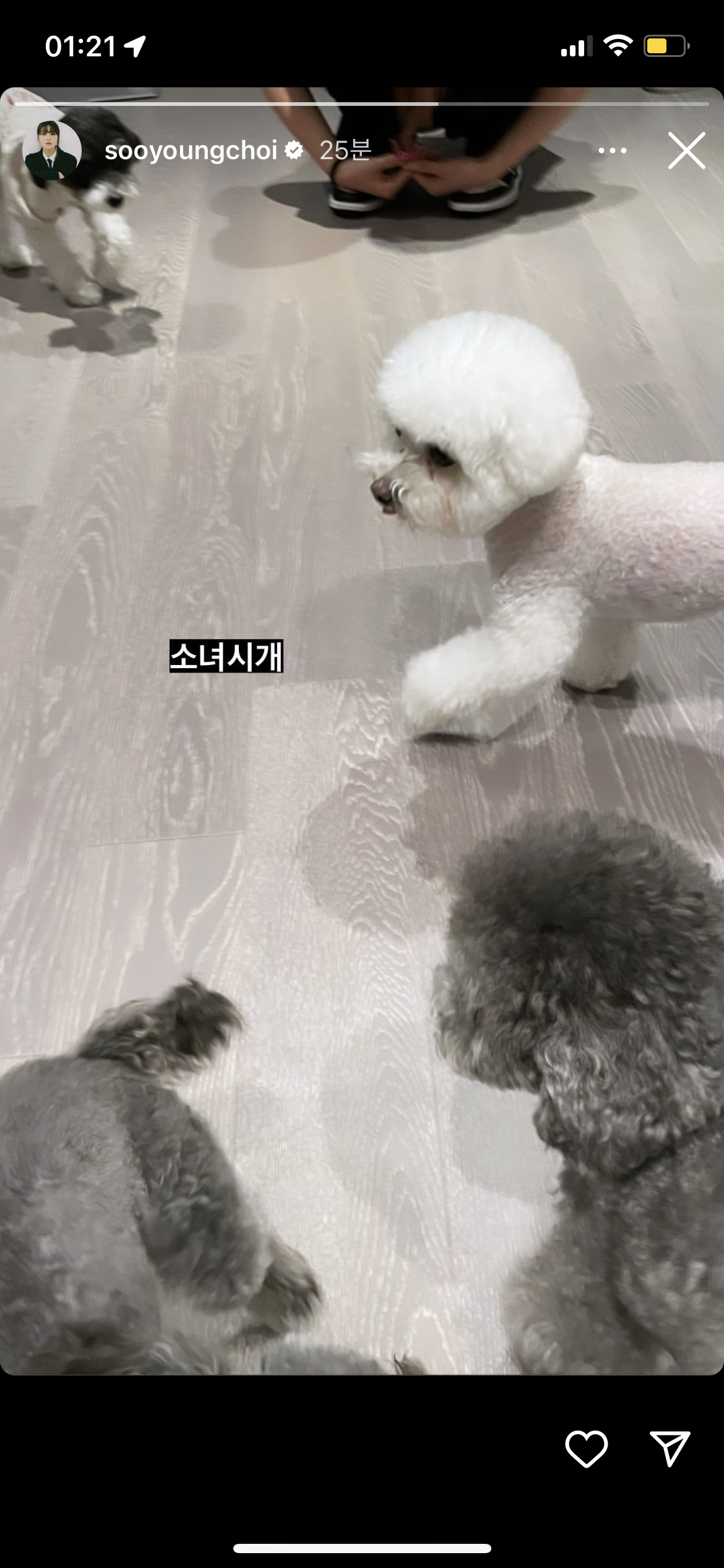 [잡담] 실시간 소녀시개 | 인스티즈