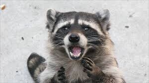 [잡담] 제이홉 뮤비 이제 본 자 | 인스티즈