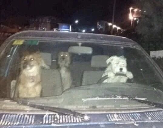 [잡담] 제이홉이 얼마전 GQ에서 지금까지 만든 노래 다 삭제했고 다시 시작한다고 했을때 | 인스티즈