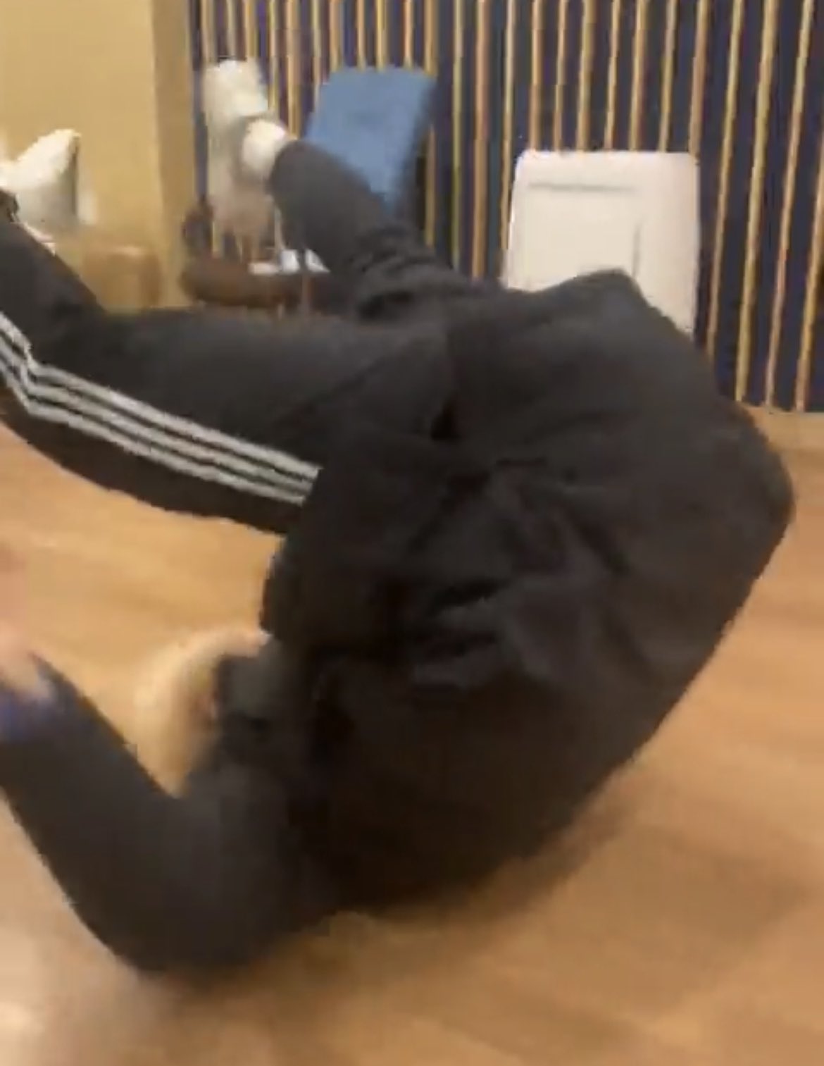 [잡담] 오늘 생일인 최애가 콩벌레 된 이야기 | 인스티즈