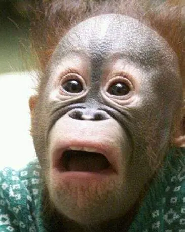 [잡담] 오늘 환승연애 지연이X공개 완전 이거였어ㅋㅋㅋㅋㅋㅋ | 인스티즈