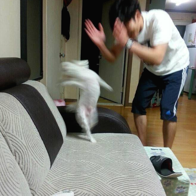 [잡담] 아 끼발 투바투랑 의전팀 걍 이거잖아요ㅋㅋㅋㅋ | 인스티즈