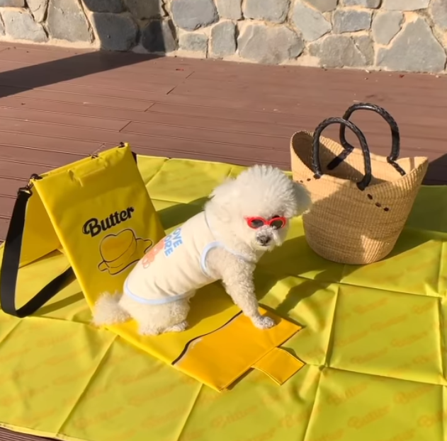 [잡담] 이 의자 나만 귀엽나... | 인스티즈