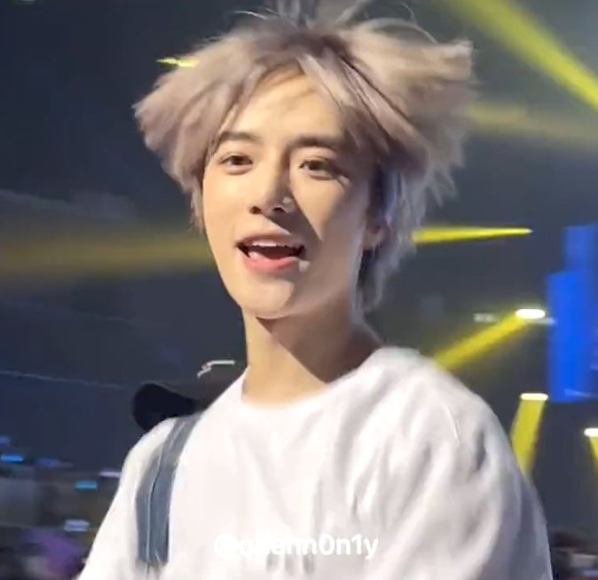 [잡담] 투바투 콘에 말티쥬 출몰 | 인스티즈