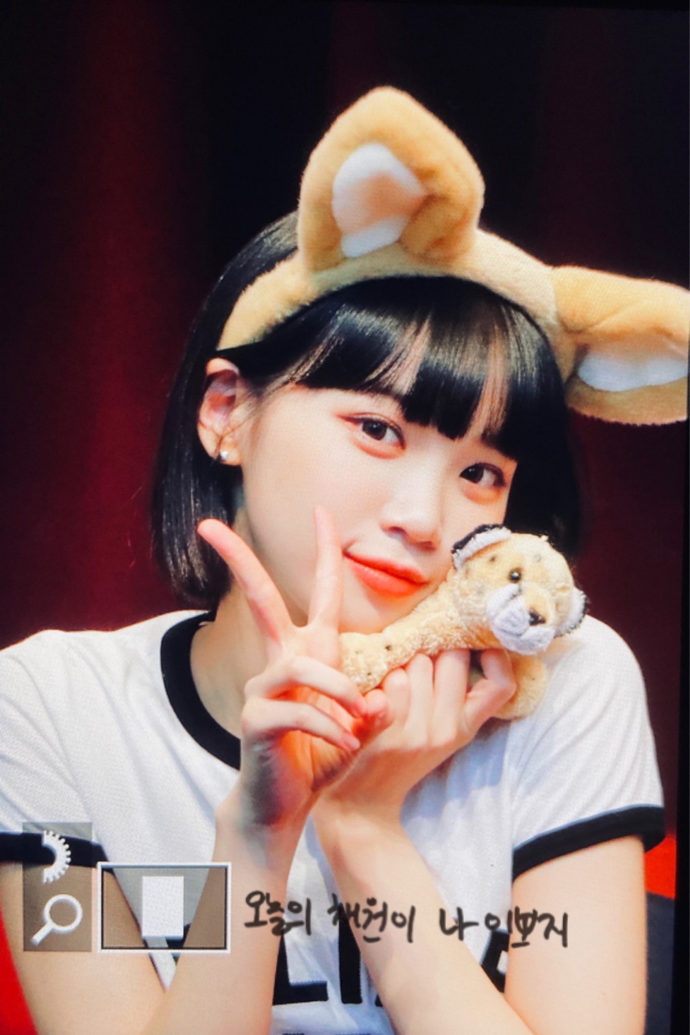 [잡담] 채원이 산리오 모에화 글 쓴 사람인데 | 인스티즈