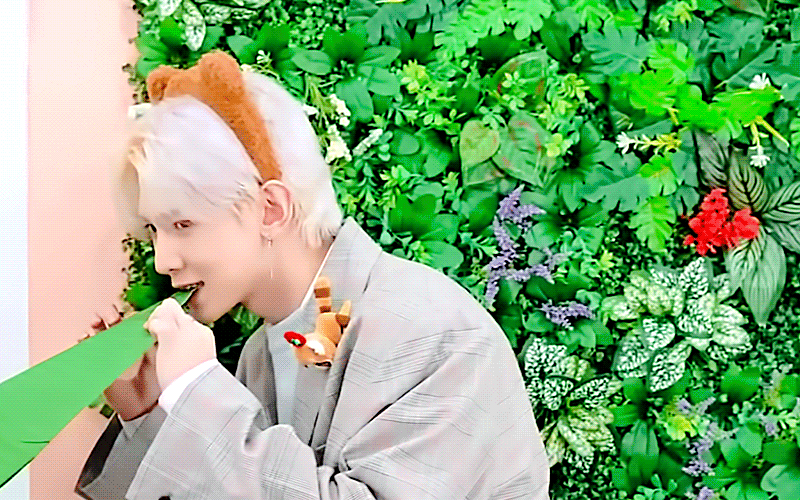 [잡담] 몇 년을 같이 산 멤버들이 계속 순수하다 하는 여상이 | 인스티즈