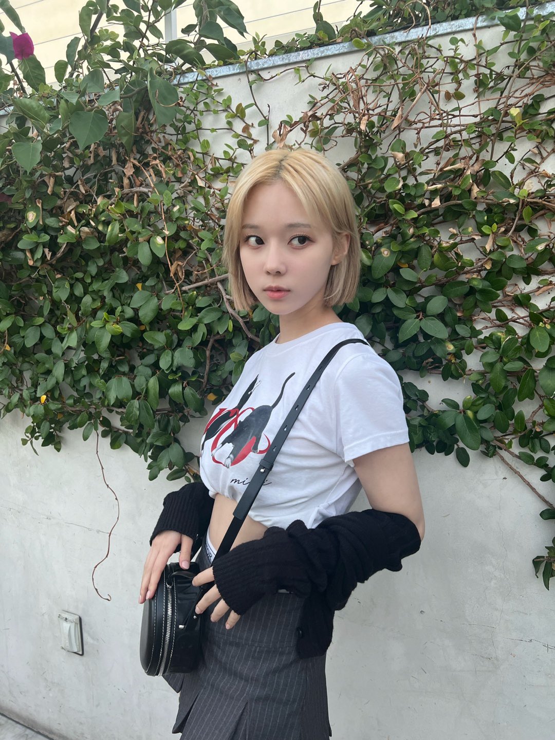 [잡담] LA 윈터 진짜 너무 좋다 | 인스티즈