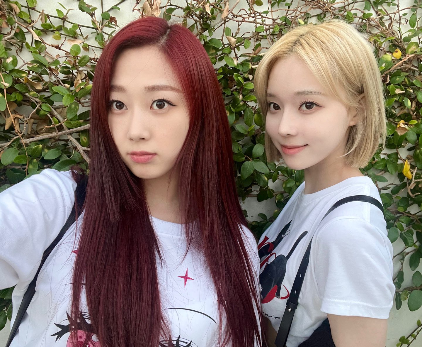 [잡담] LA 윈터 지젤 사진떴댱 | 인스티즈