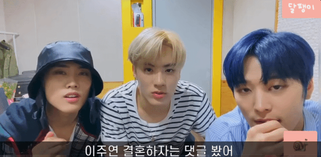 [잡담] 이주연 들튀 | 인스티즈