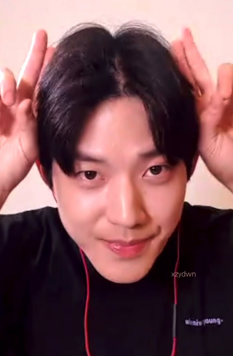 [잡담] 강아지 귀 해달라고 하면 뾰족 귀 만드는 내본 | 인스티즈