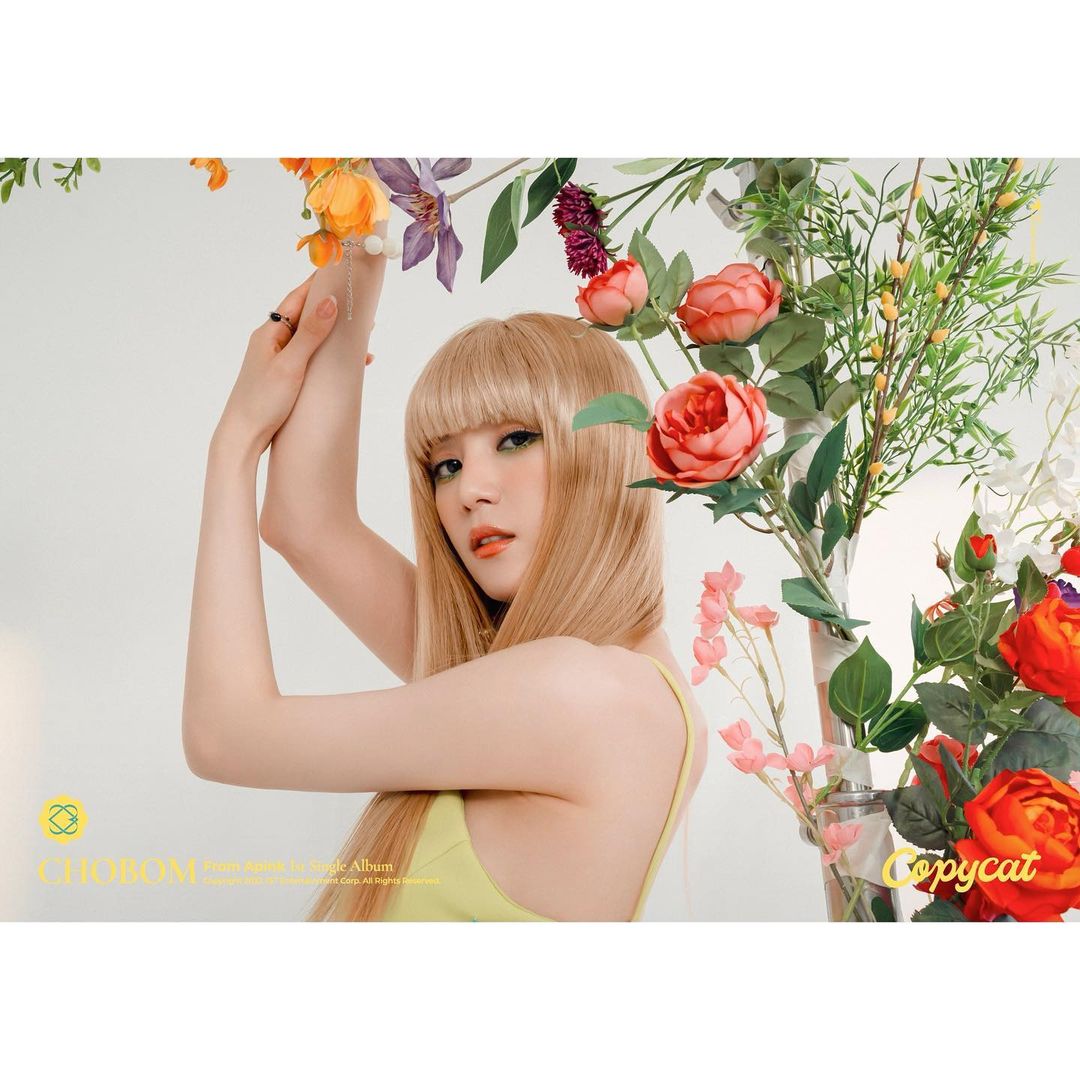 [잡담] 에이핑크 초봄 미쳤다진짜 | 인스티즈