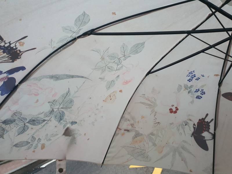 내 우산 예쁘지 | 인스티즈
