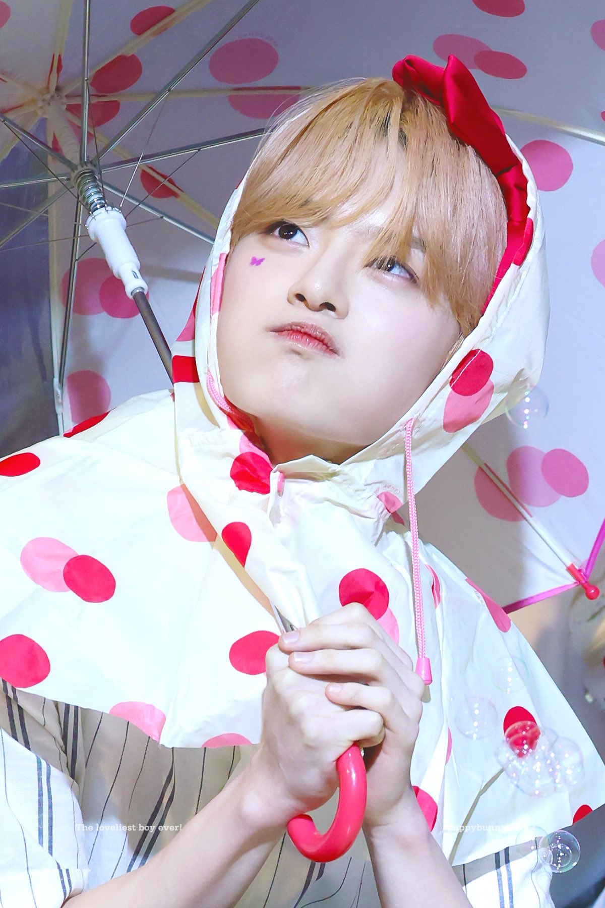 [잡담] 팬싸에서 다른멤들은 인형있는데 본인만 없어서ㅠㅠ | 인스티즈