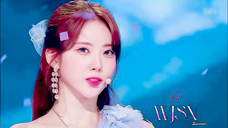 [잡담] 이루다 아기요정공주병아리콩두부말랑치와와말티즈 | 인스티즈