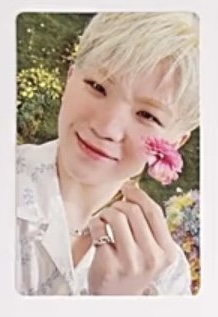 [잡담] 내 기준 이번에 가져야만 하는 세븐틴 포카 | 인스티즈