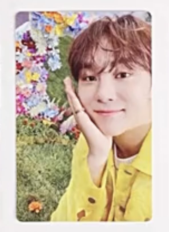 [잡담] 내 기준 이번에 가져야만 하는 세븐틴 포카 | 인스티즈