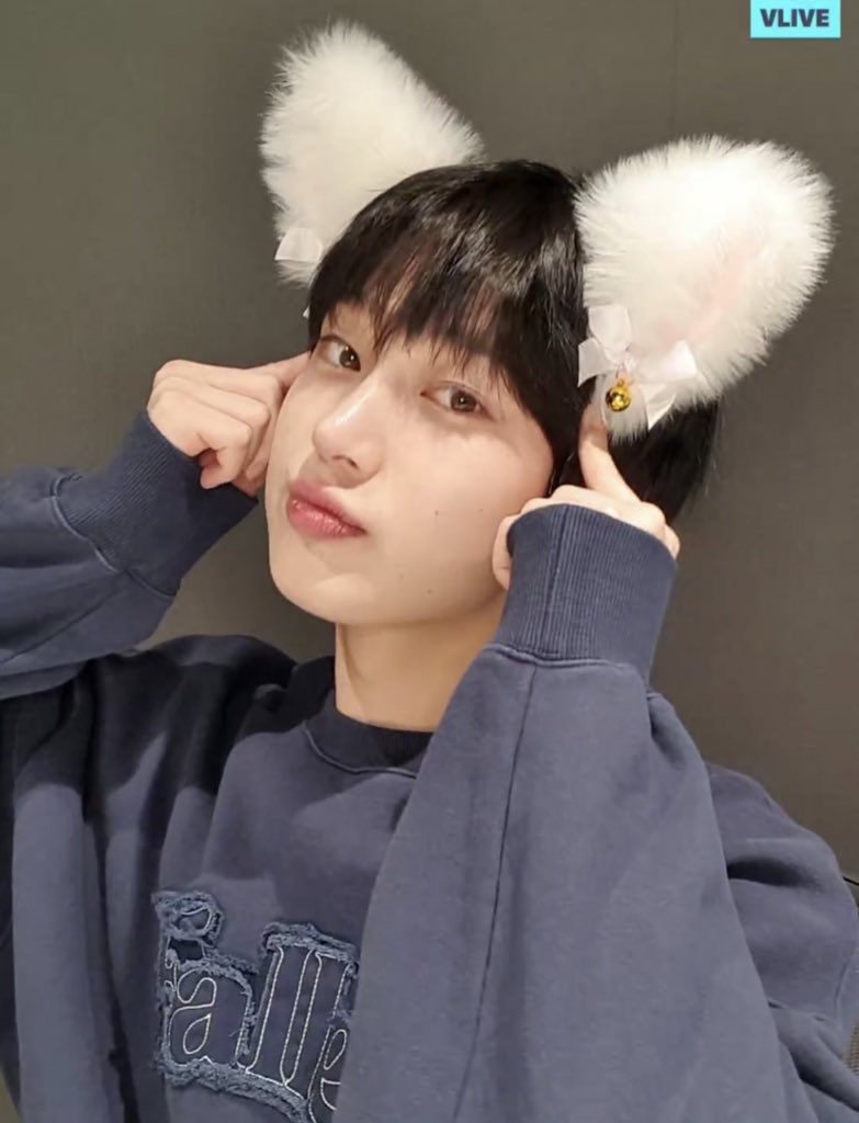 [잡담] 엔하이픈 ㄹㅇ 어쩌다 이런 미친 소속사에 들어가서... | 인스티즈