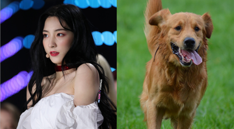 [잡담] 우주소녀 멤버별 현재 이미지 ㅋㅋㅋㅋ | 인스티즈