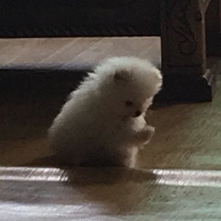 [잡담] 투바투들은 낚였습니다 | 인스티즈