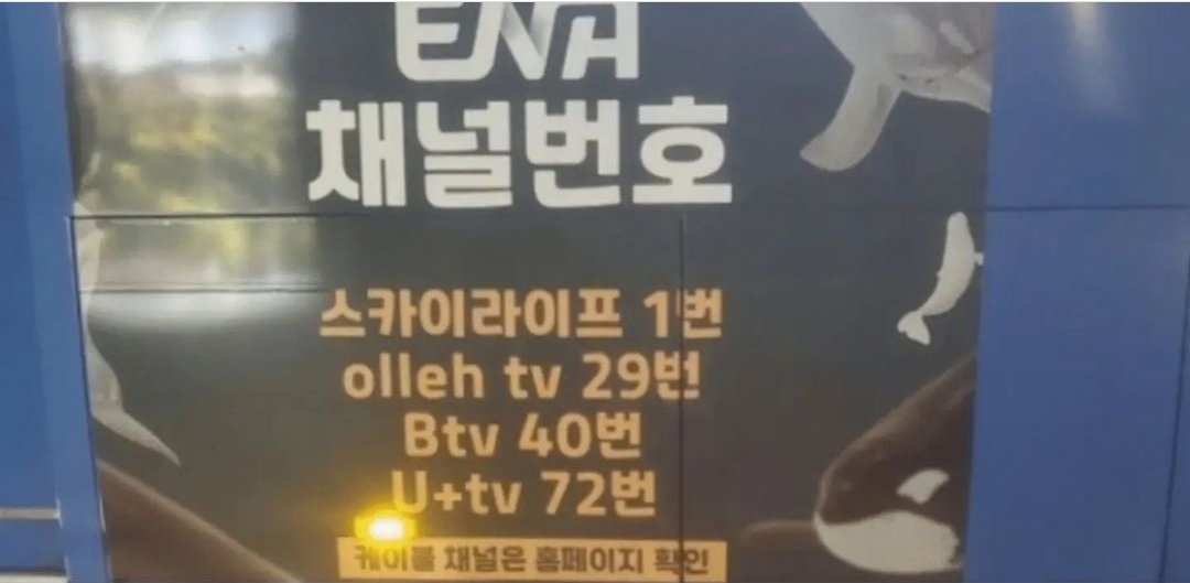 [잡담] ENA 웃픈게 우영우 광고만큼이나 채널 번호 광고도 많이해ㅠ | 인스티즈