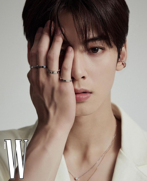 [잡담] 차은우 얼굴이 나라다 .. 진짜 | 인스티즈