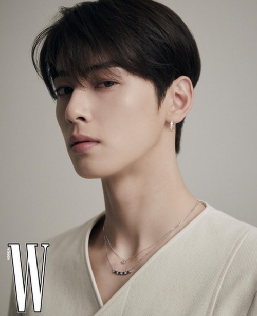 [잡담] 차은우 얼굴이 나라다 .. 진짜 | 인스티즈