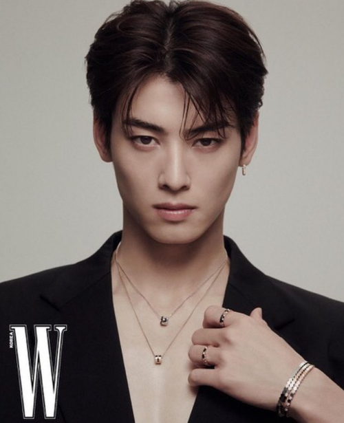 [잡담] 차은우 얼굴이 나라다 .. 진짜 | 인스티즈