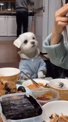 얘 진짜 사람같다... | 인스티즈