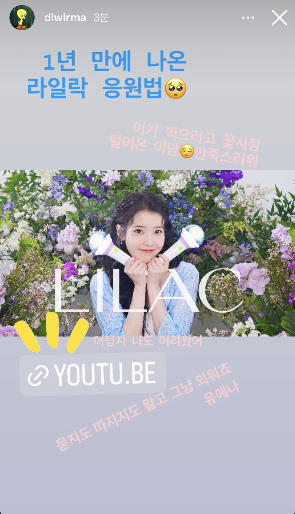 [잡담] 아이유 인스스!!! - 인스티즈(instiz) 연예 카테고리