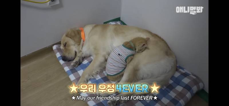 아 너무 귀엽다.. | 인스티즈