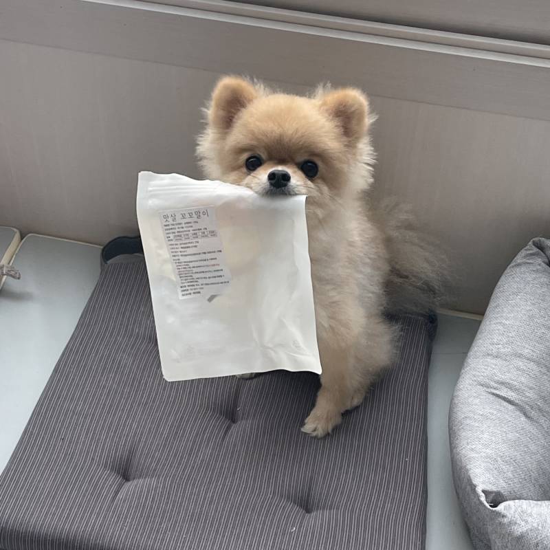 오늘 아침 출근전인데 | 인스티즈