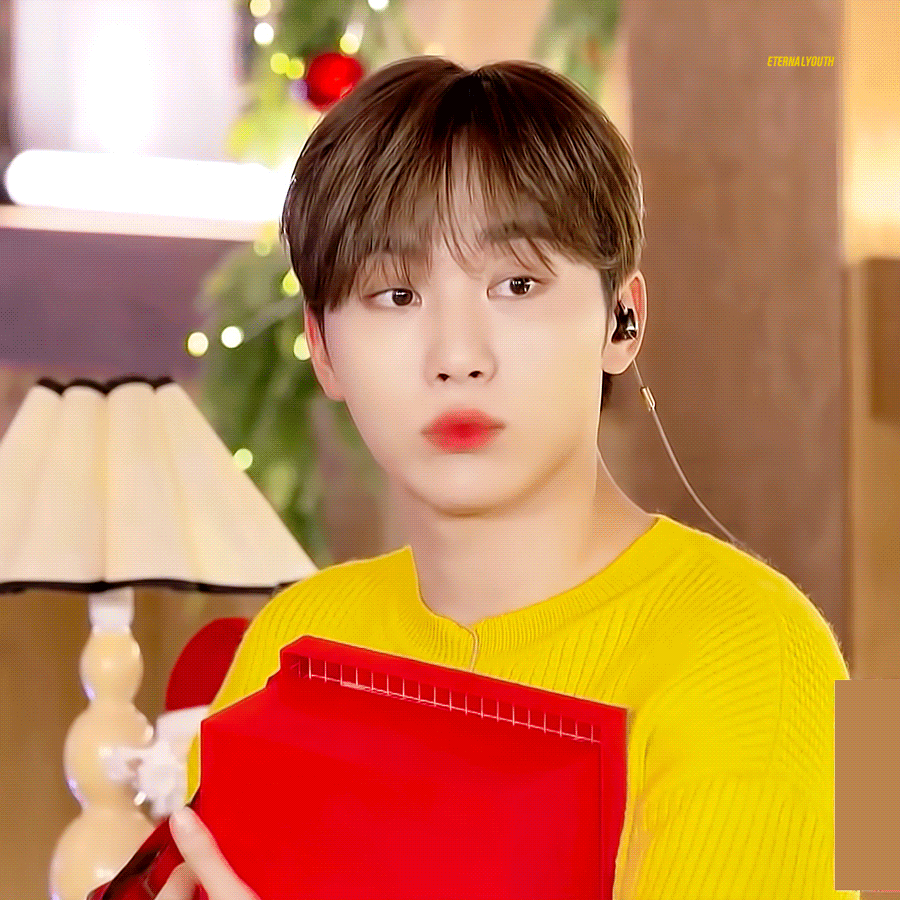 [잡담] 세븐틴 부승관 퍼컬 | 인스티즈