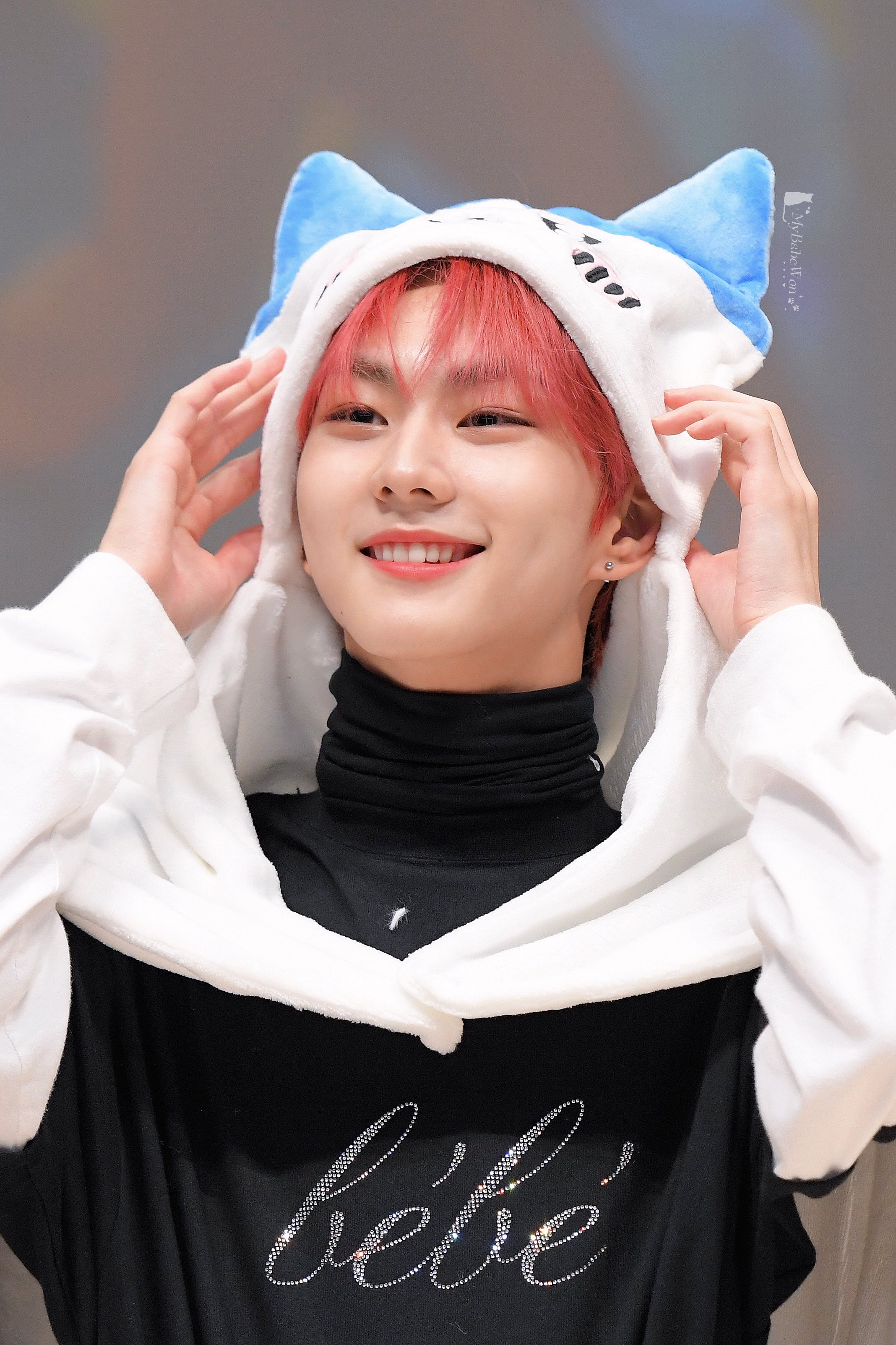 [잡담] 😻세계 고양이의 날 기념 최애냥이들 자랑하고 가😻 | 인스티즈