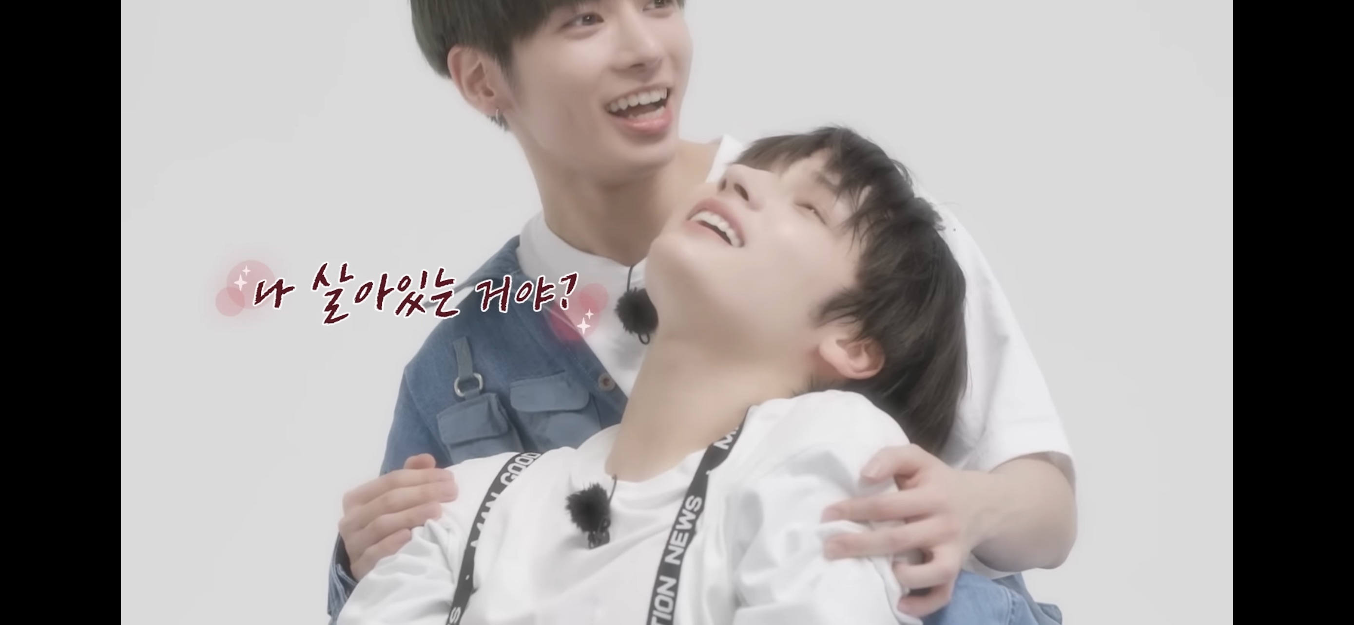 [잡담] 아아. 우리애들 보고 싶다 | 인스티즈