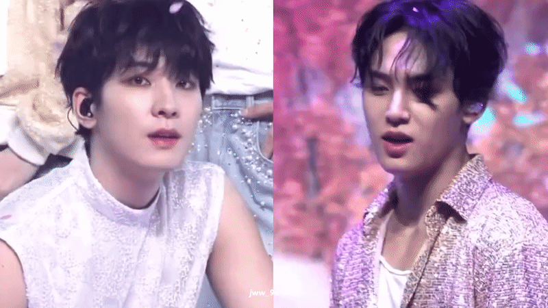 [잡담] 세븐틴 댕냥즈 너무 좋아... | 인스티즈