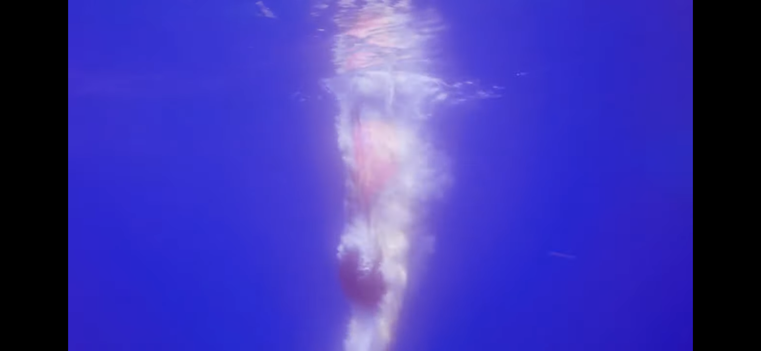 [잡담] 이거 진짜 민희진 감성 그 잡채다 | 인스티즈