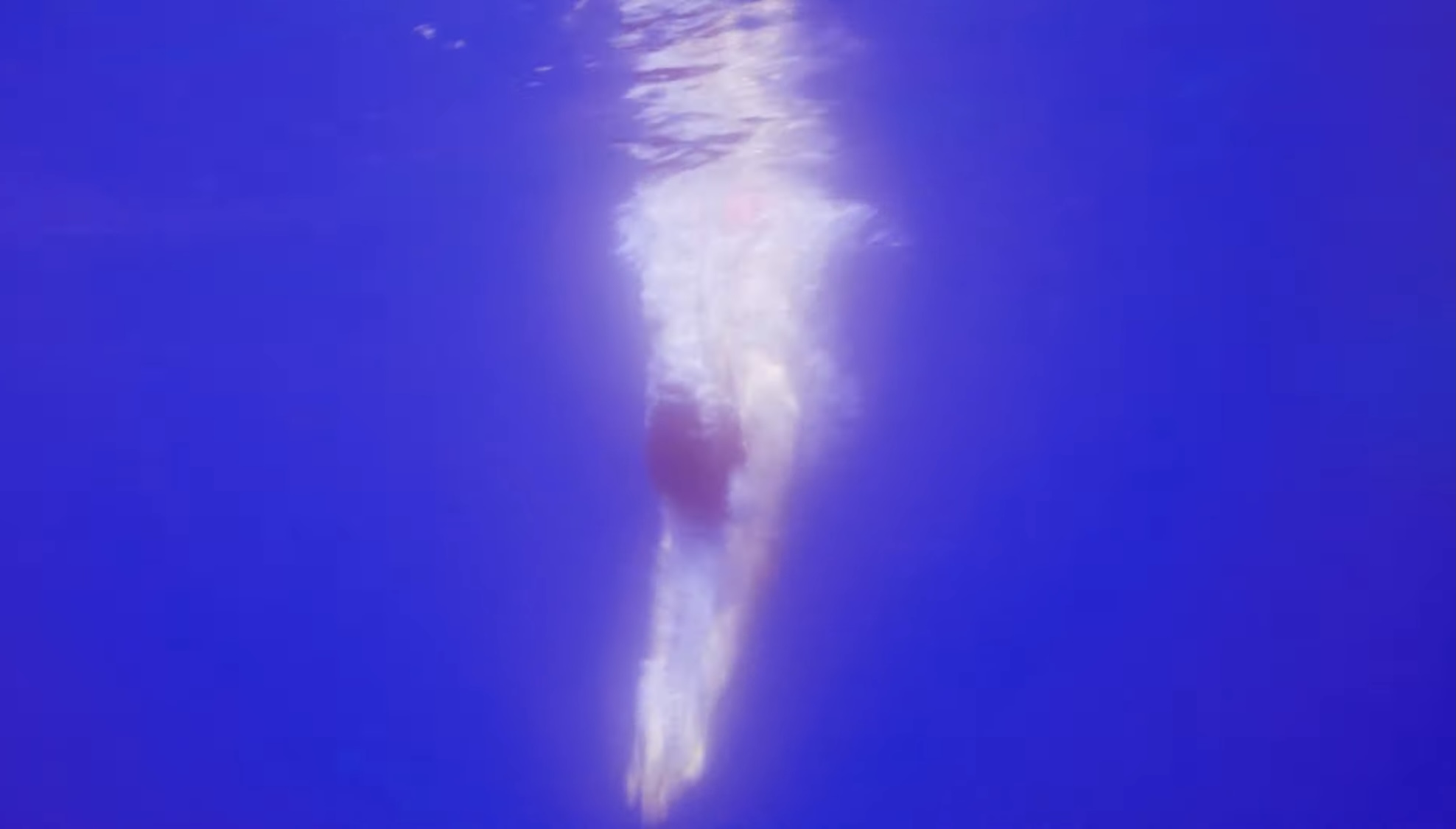 [잡담] 뉴진스 뮤비 물에 빠지는장면 감성 도라버림 | 인스티즈
