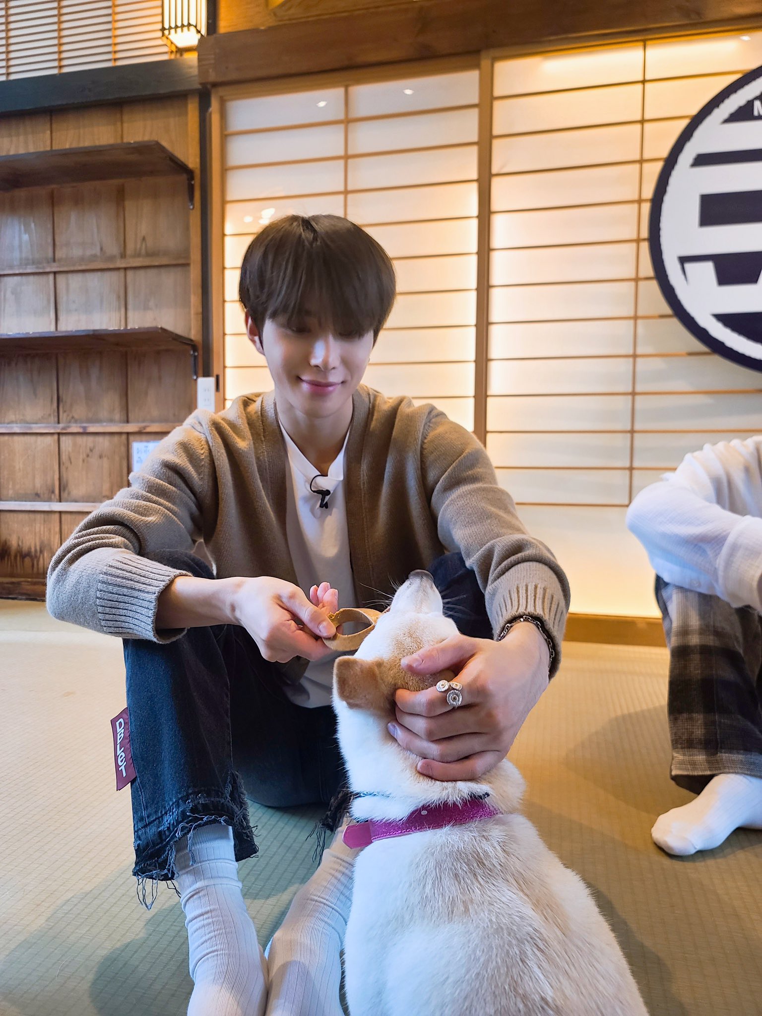 [잡담] 이 남자는 저의 것 입니다 이 남자는 제 것 입니다 이 남자는 저의 강아지입니다… | 인스티즈