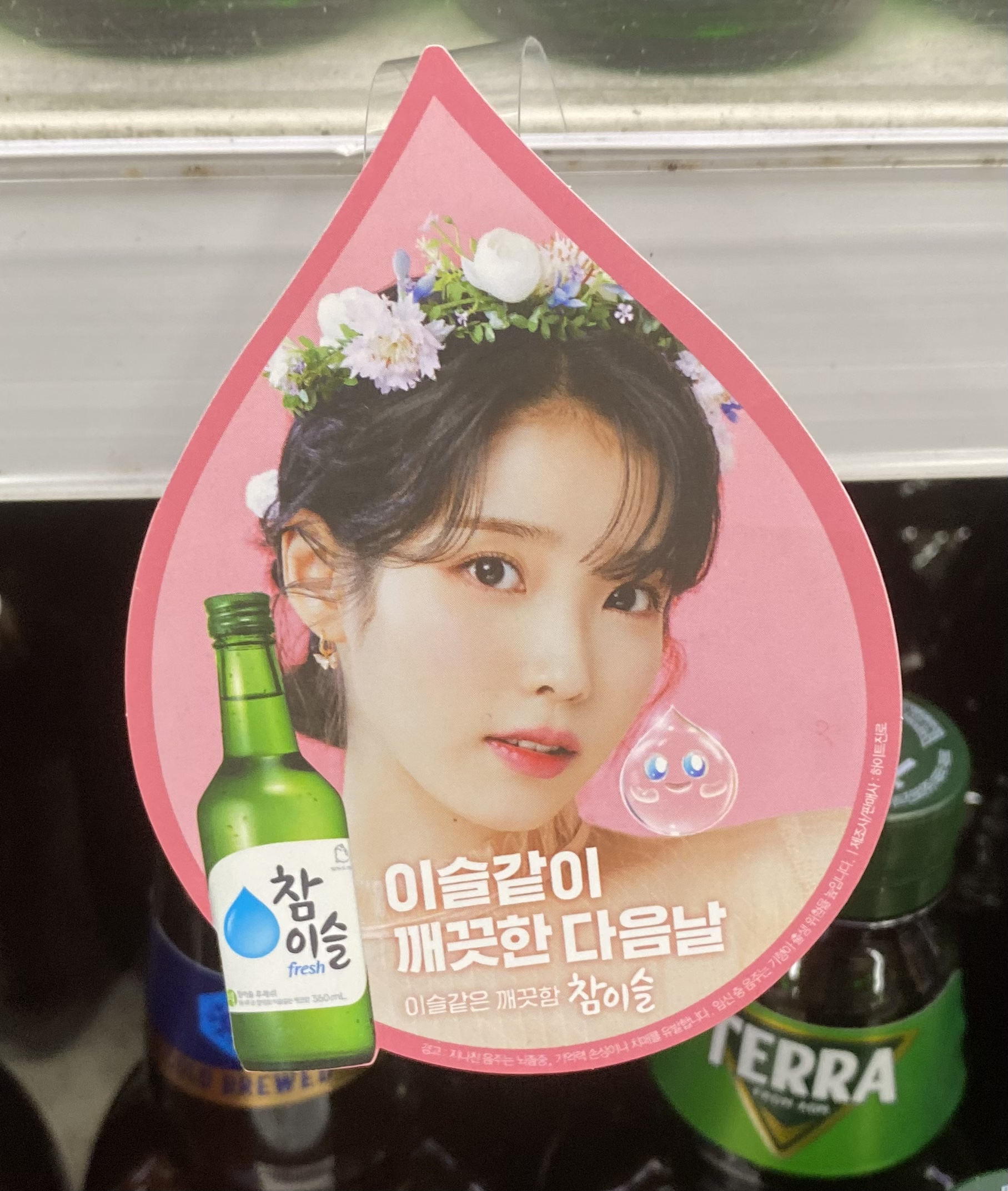 [잡담] 아이유 우리집으로 데리고 오고 싶다 | 인스티즈